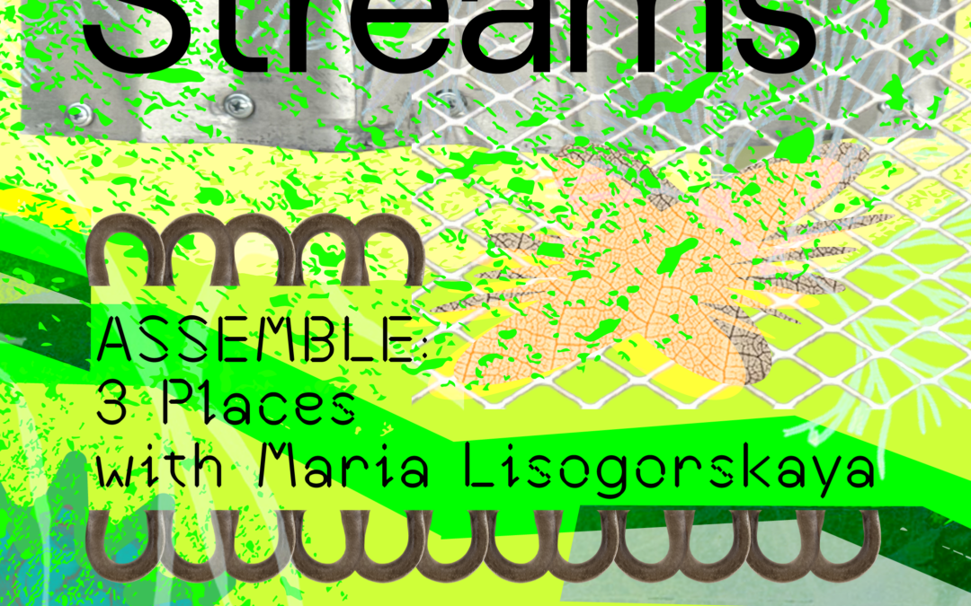 Material Streams — ASSEMBLE: 3 Places with Maria Lisogorskaya